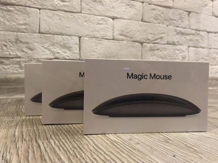 Magic Mouse 2