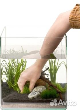 Чистка и обслуживание аквариумов