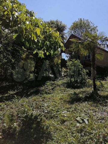 Участок 31 сот. (СНТ, ДНП)