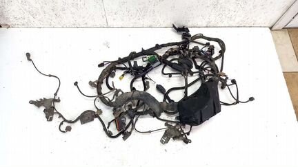 Проводка двигателя 2.0 ecoboost Ford Mondeo 4