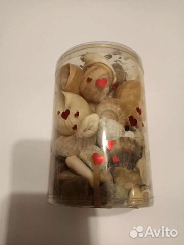 Ракушки и камни с моря