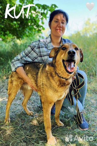 Кит ищет дом