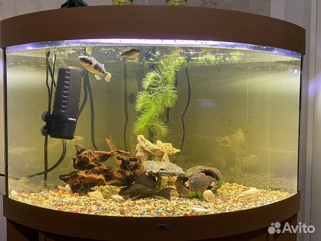 Аквариум с тумбой juwel