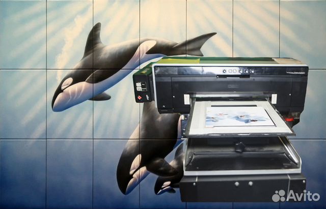 Принтер: Epson Stylus Photo R2000 головка (DX-5)