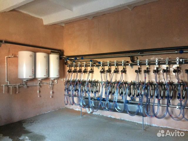 Молокопровод