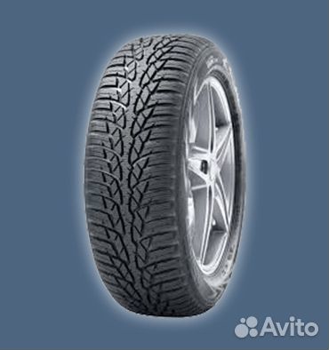 Nokian Tyres WR D4 195/55 R16 91H