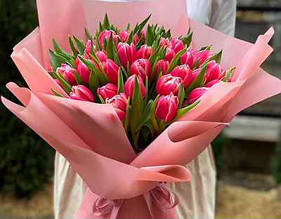 цветы тюльпаны купить недорого