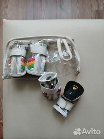 Одежда для собак