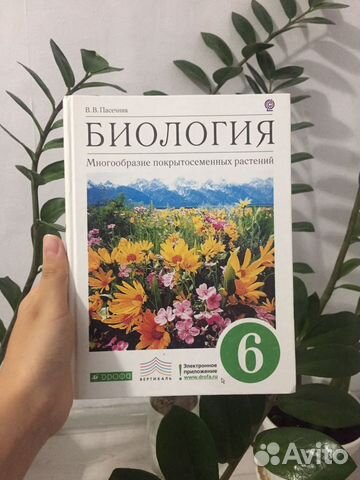 Учебник по биологии 6 класс Пасечник купить в Астрахани | Хобби и отдых ...