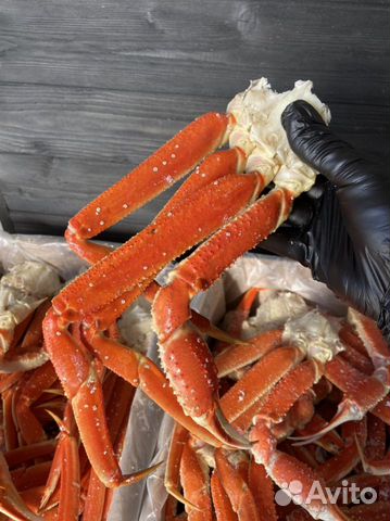 Краб стригун