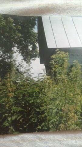 Дача 24 м² на участке 4 сот.