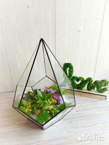 Флорариум в подарок
