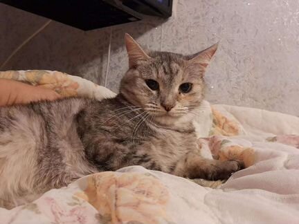 Замурчательная кисуля