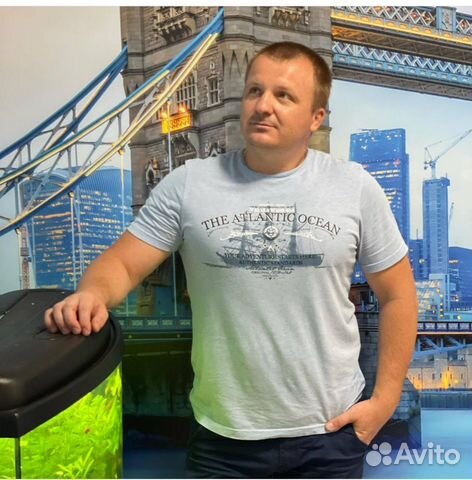 Репетитор английского языка