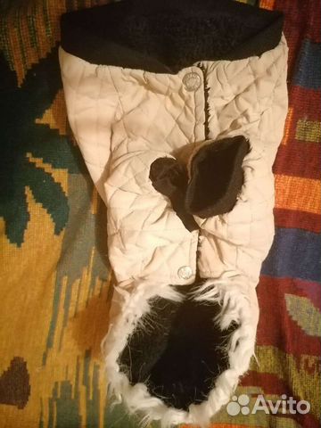 Одежда для маленьких собак