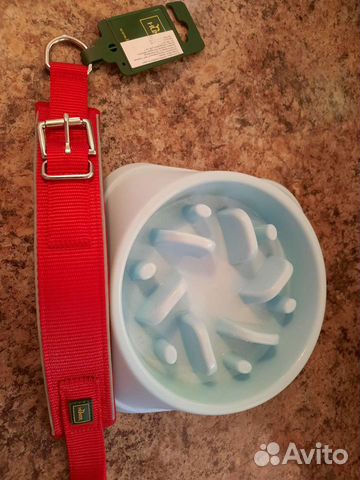 Шлейка и миска для собак