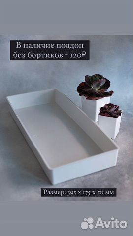 Поддоны под горшки для суккулентов и рассады