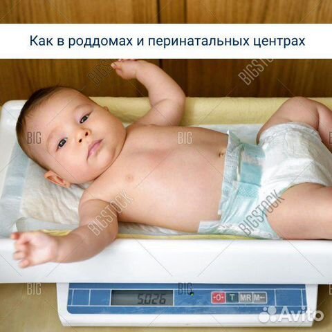 Весы детские аренда