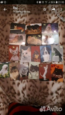 Карманные календарики кошки и собаки