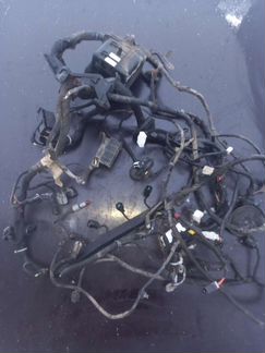 Проводка подкапотная Solaris 1 Rio 3