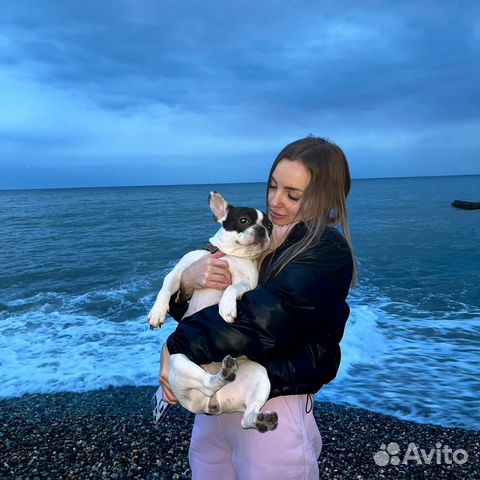 Передержка собак (в том числе крупных)