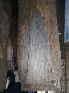 Мореный дуб, древесина для элитной мебели