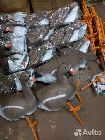 Чучела гуся (30 шт) с Авито Доставкой