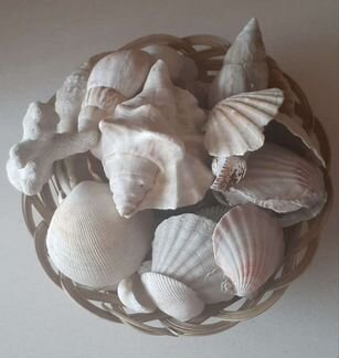 Набор ракушек для аквариума