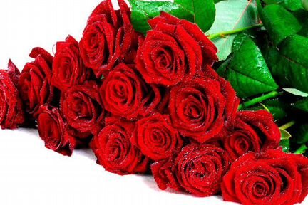 Розы, Букеты Цветы 25 51 151 201 501 101