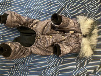 Одежда для собак мелких пород