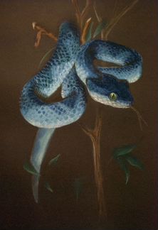 Продаётся картина «Змея на ветке»