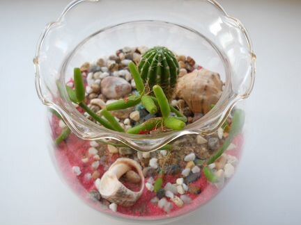 Флорариумы