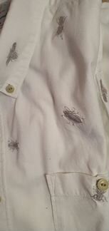 Barbour есть gucci gabbana kiton louis vuitton