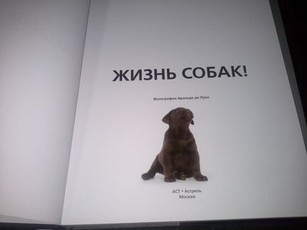 Аральдо Де Лука. Жизнь собак. Фотоальбом