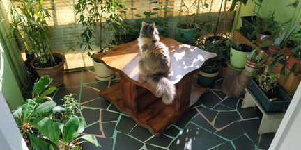 Журнальный столик из дерева на колёсах