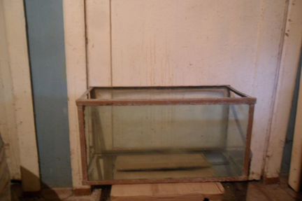 Аквариум и открытки Пестрый мир аквариума