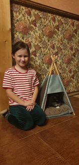 Вигвам для кошек и собак