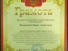 Опытный репетитор по русскому языку объявление продам