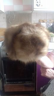 Шапка соболь