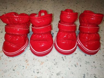 Обувь для собаки ботиночки