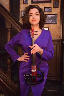 Музыкант на мероприятие (скрипач). скрипка, электр