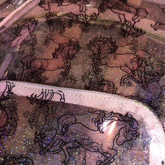 Прозрачный рюкзак