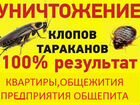 Уничтожение клопов тараканов короед фумигация объявление продам