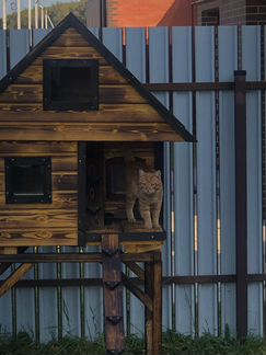 Уличный домик для кошки