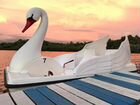 Водный велосипед Белый Лебедь объявление продам