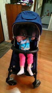 Коляска everflo